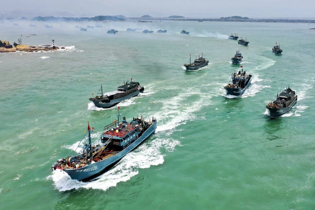 Trung Quốc cấm đội tàu cá đông đảo đánh bắt mực trên vùng biển quốc tế - 1