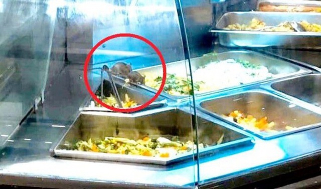 Vụ chuột bò lên khay thức ăn: Aeon nhận trách nhiệm, không đổ cho nhân viên  - 1