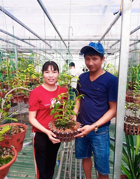 Dân chơi tiết lộ: 5 khác biệt giữa lan var Việt và lan cấy mô Đài Loan