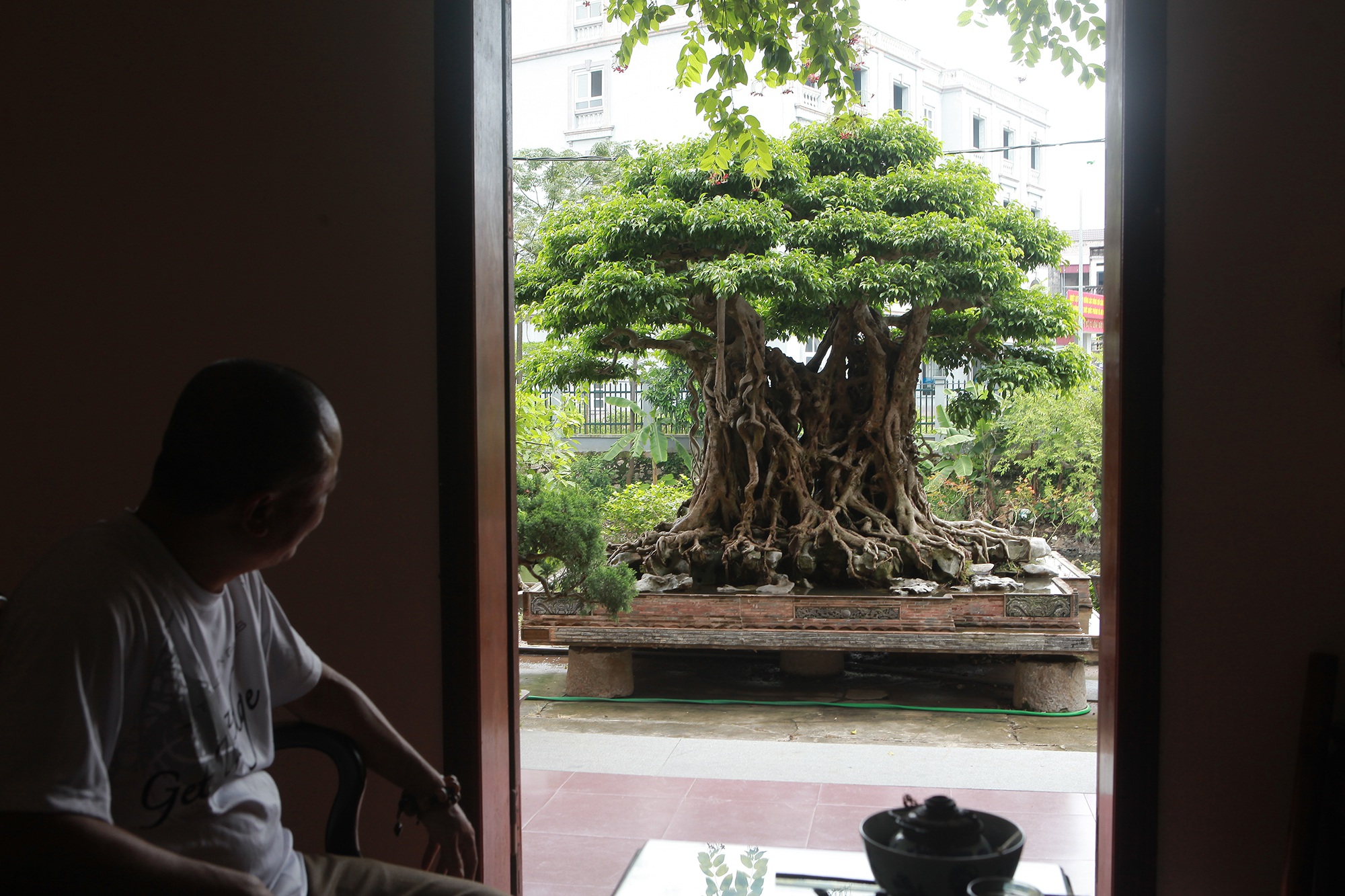 “Báu vật ẩn mình” có tuổi đời 500 năm ở Hà Nội, trả 100 cây vàng không bán