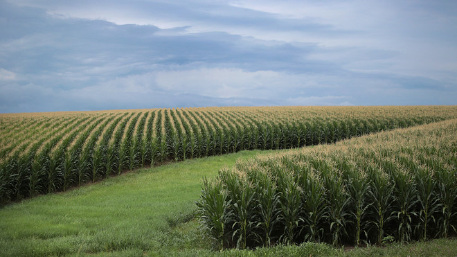 Even with a strong crop this year, U.S. farmers are suffering ...