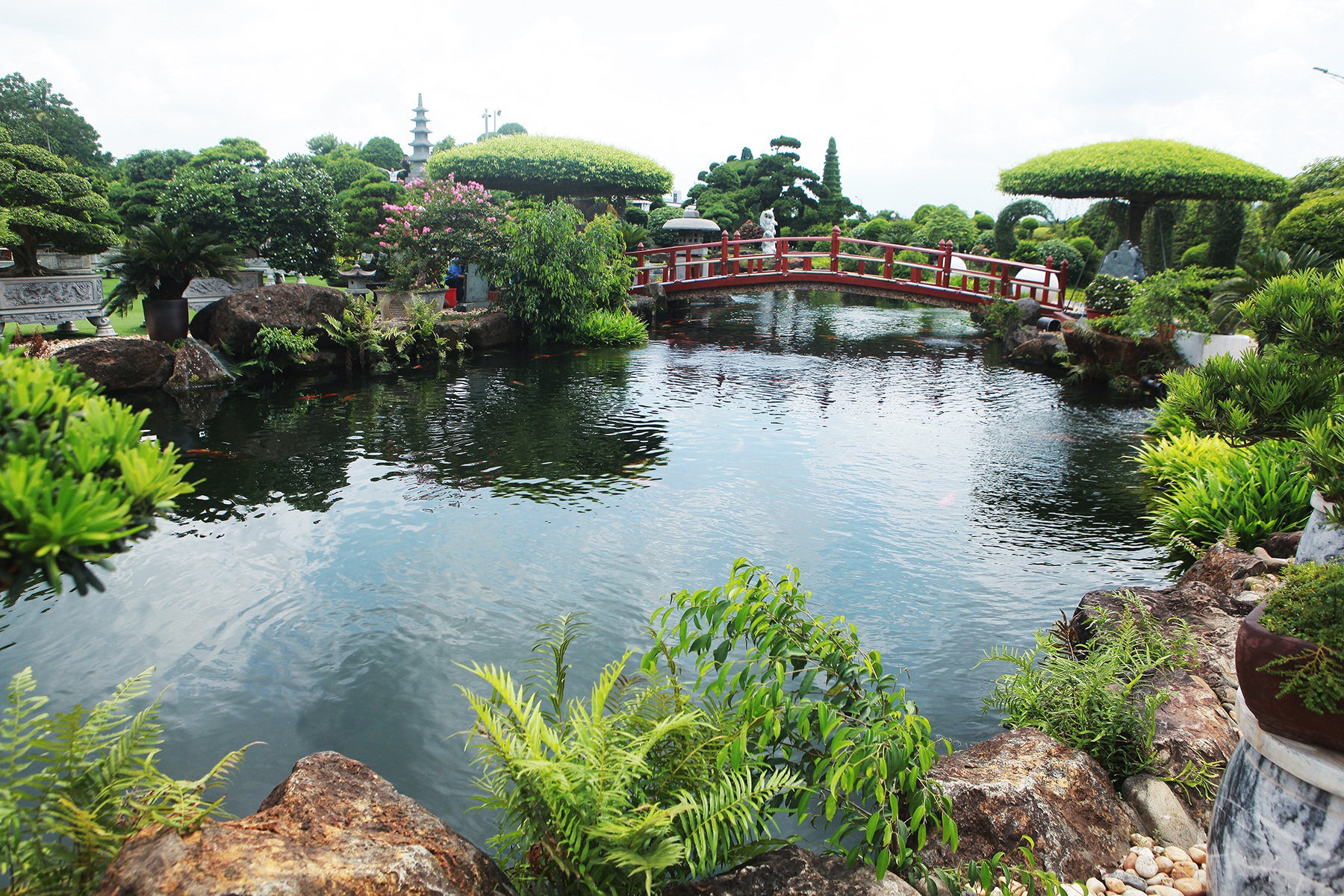 Đại gia làm hồ cá Koi, đồi nhân tạo bằng 100 tấn “đá bán quý”