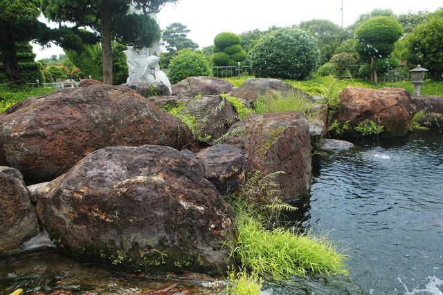Đại gia làm hồ cá Koi, đồi nhân tạo bằng 100 tấn “đá bán quý” - 8