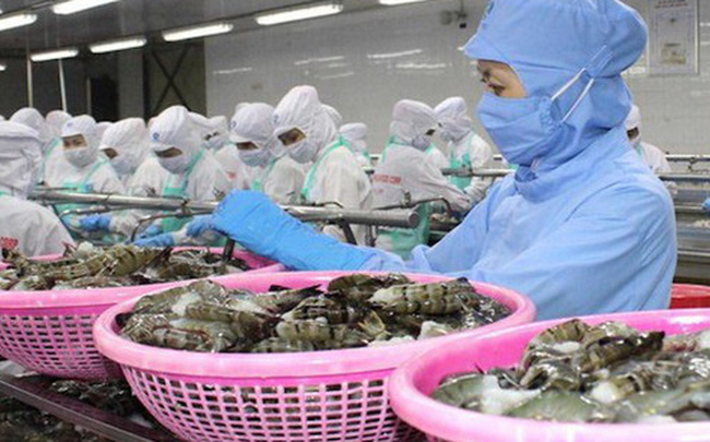 Việt Nam xuất siêu gần 11 tỷ USD trong mùa đại dịch covid-19