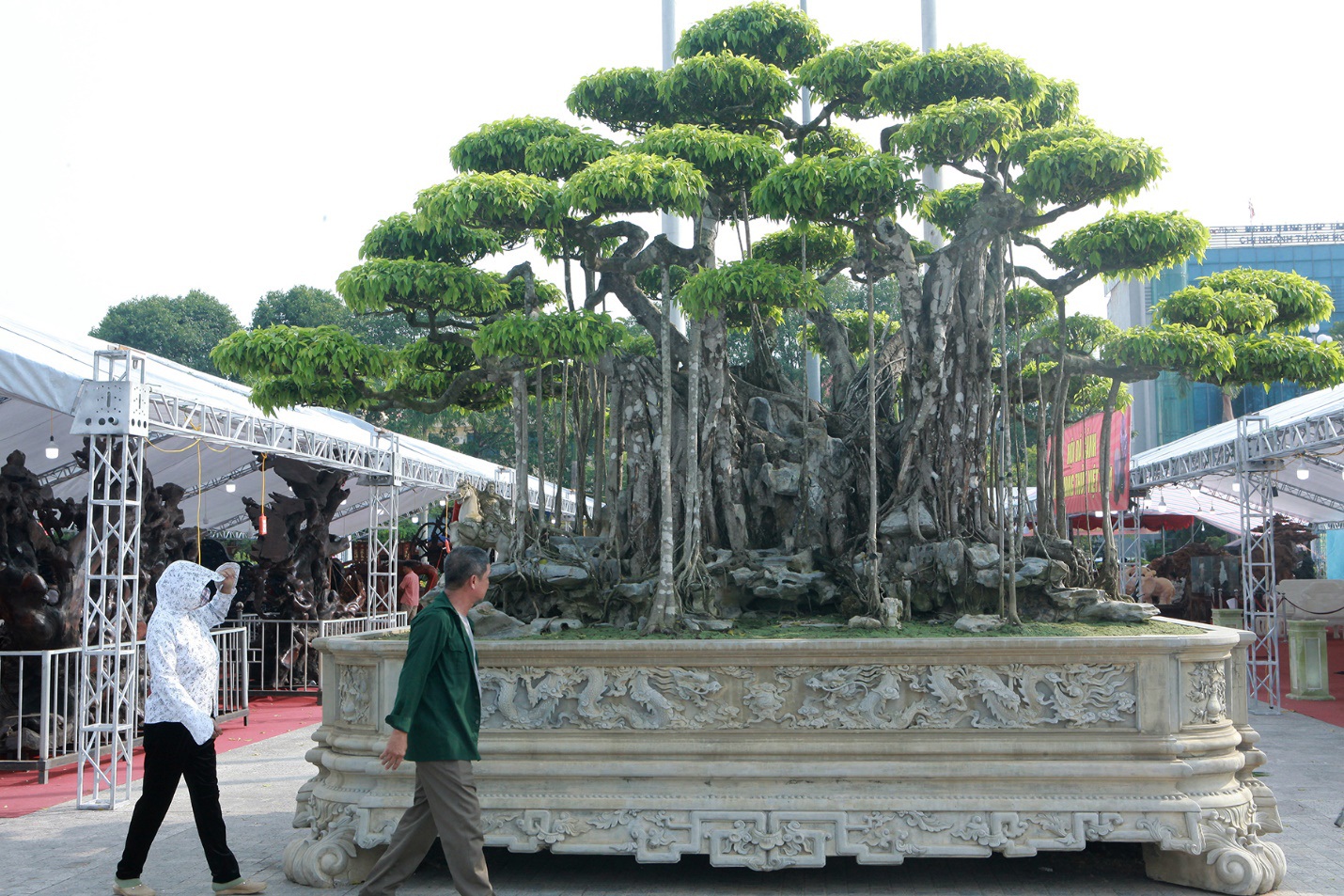 Ngắm dàn “siêu cây” hàng triệu USD của đại gia xứ Thanh