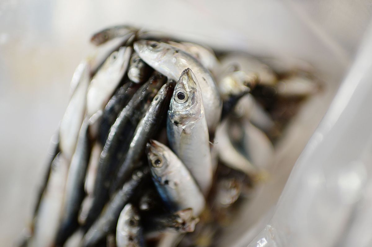Trung Quốc cấm nhập khẩu hải sản từ Indonesia vì dương tính với virus corona