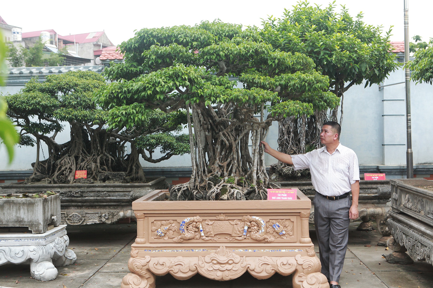 Sanh cổ “Ngũ long tranh châu” mua từ năm 1996 với giá 100 cây vàng