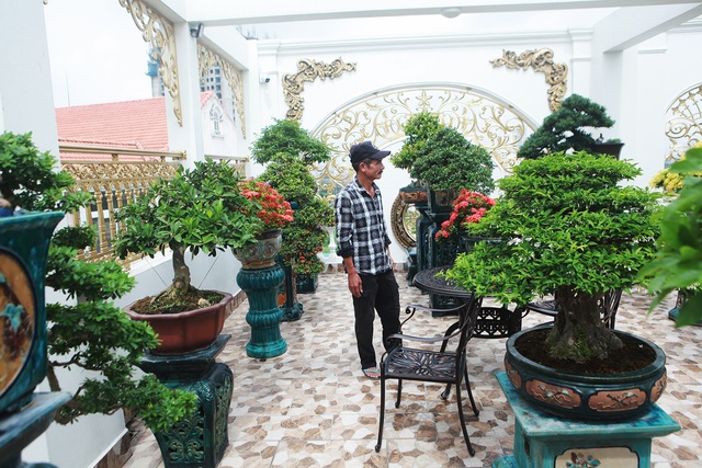 Nghệ nhân Hà Nội bật mí về bonsai kích thước nhỏ nhưng giá “khủng” - 3