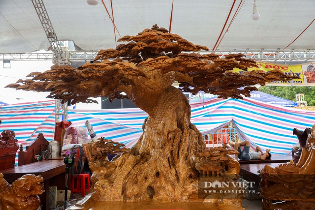 Ngỡ ngàng khúc gỗ được rao bán 10 tỷ đồng tại hội chợ ở Hà Nội - 10