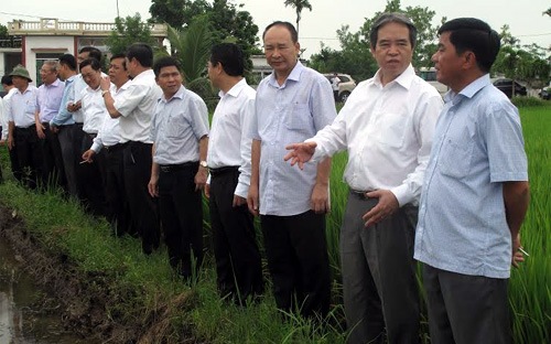 Ngành Ngân hàng “ tiếp sức ” cho  cánh đồng mẫu lớn ở Thái Bình