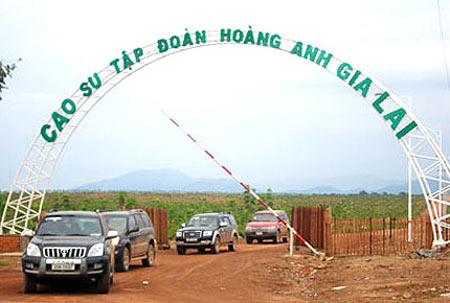 Global Witness tiếp tục chỉ trích hoạt động của Hoàng Anh Gia Lai tại Lào, Campuchia