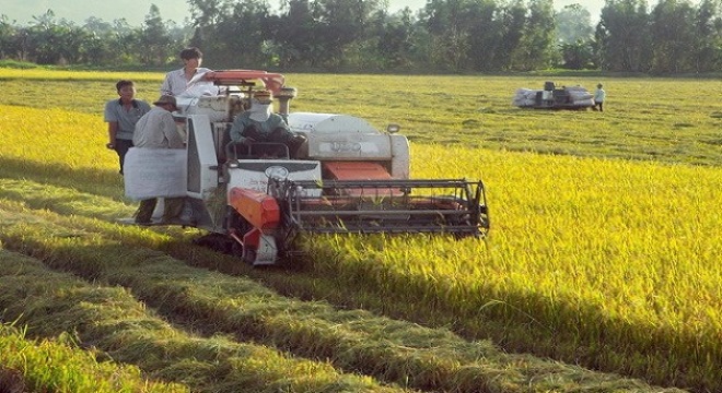 Ngành nông nghiệp Việt Nam đang đứng trước vận hội lớn