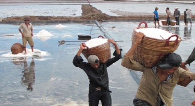 Nghịch lý hạt muối Việt Nam: Doanh nghiệp nội chê, nước ngoài tìm nhập