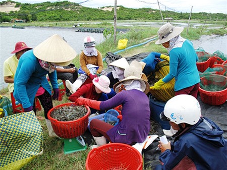 Báo động tình trạng lệ thuộc của thủy sản Việt Nam vào Trung Quốc