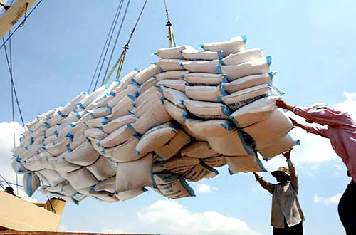 Giá gạo Việt Nam đột ngột cao nhất thế giới