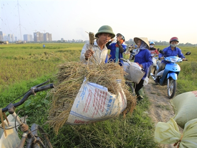 Hà Nội thành lập 2 quận mới: Giá đất có tăng?