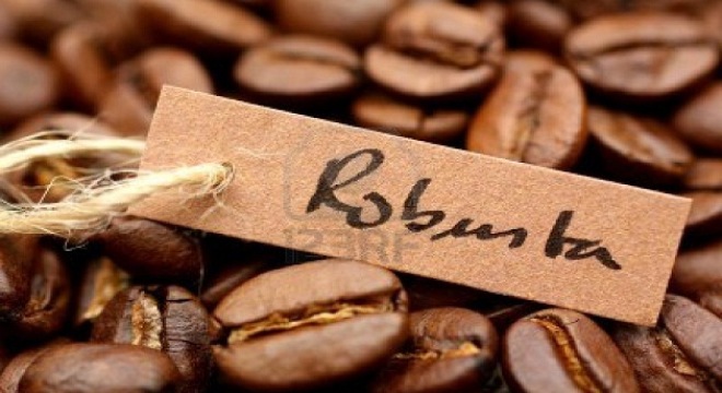 Cà phê có chứng nhận bền vững khó bán