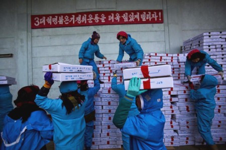 Công nhân Triều Tiên bốc hàng thủy sản