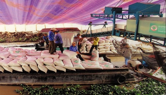 Xuất khẩu gạo: Tính hoài vẫn hẹp cửa ra