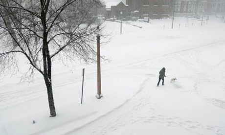 Một phụ nữ dắt chó cưng đi trên một con đường ngập tuyết ở St. Louis, bang Missouri.