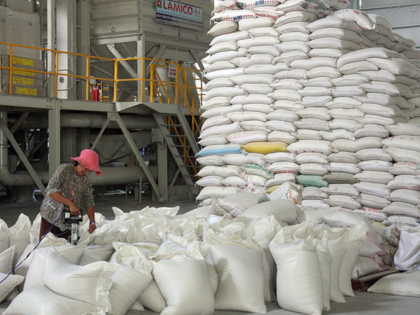 Gạo Việt Nam bị nghi ngờ nhập khẩu bất hợp pháp vào Indonesia