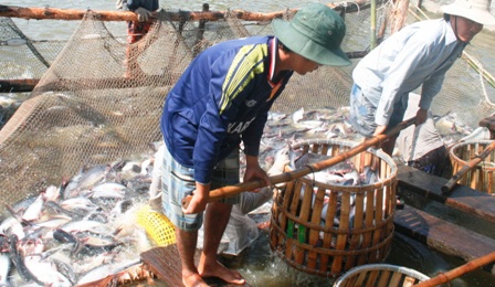 Bộ Ngoại giao: Quy định mới của Mỹ ảnh hưởng tiêu cực tới thủy sản Việt Nam