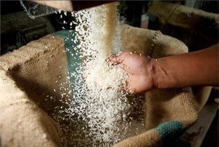 “Thương nhân Trung Quốc gom mua gạo Việt Nam là đáng mừng”