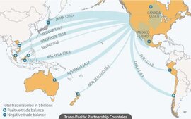 TPP có thể giúp Việt Nam chiến thắng trong cuộc chiến cá da trơn?