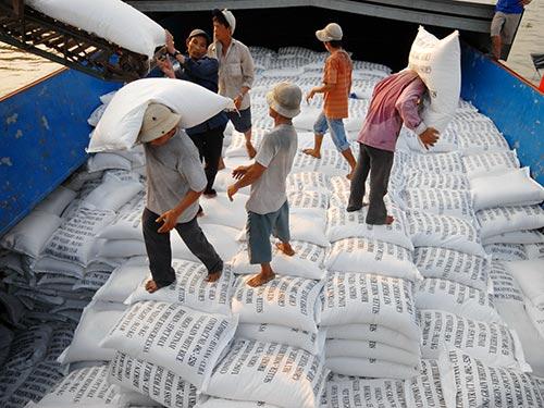 Việt Nam và Thái Lan có thể sẽ cạnh tranh quyết liệt để giành các hợp đồng nhập khẩu gạo từ Philippines