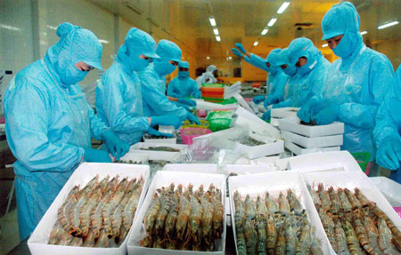 Xuất khẩu tôm sang Trung Quốc tăng mạnh: Mừng ít, lo nhiều