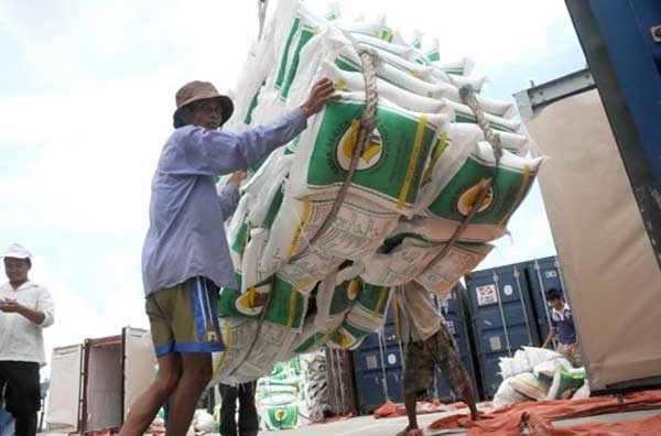 Cấm cả xuất khẩu gạo thơm vốn không phải thế mạnh của Việt Nam (nguồn: tinnong.vn).