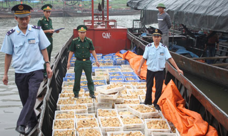 Bắt hàng tạ sò lông và ngan “bẩn” nhập lậu từ Trung Quốc