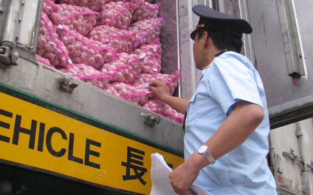 Nhiều doanh nghiệp của Việt Nam vẫn đang nhập mặt hàng tỏi của Trung Quốc.