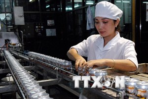 Năng suất lao động trung bình của Việt Nam giảm ở mức đáng lo ngại