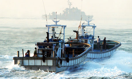 Các tàu cá hoạt động trên biển Hoàng Hải.