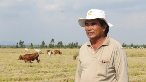 Ông Nguyễn Lợi Đức với khu trang trại nuôi bò vừa mới hình thành trên 71ha đất vốn chuyên canh lúa - Ảnh: TTO