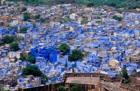 Thành phố Jodhpur ở bang Rajasthan, Ấn Độ nổi tiếng là thành phố của màu xanh.
