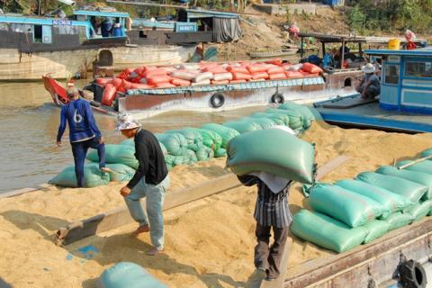  Trung Quốc chiếm 42% thị trường xuất khẩu gạo của Việt Nam