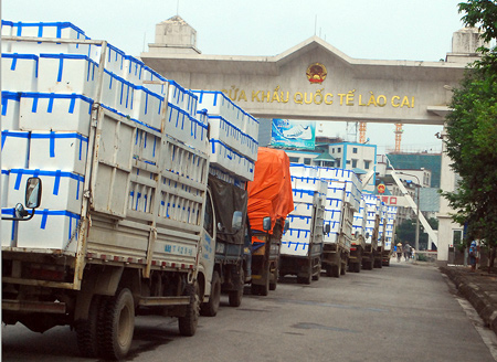 Trung Quốc đã nhập gần 30.000 tấn vải Việt Nam