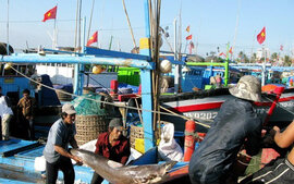 Quảng Ngãi: “Đầu nậu” thủy sản lũng đoạn thị trường