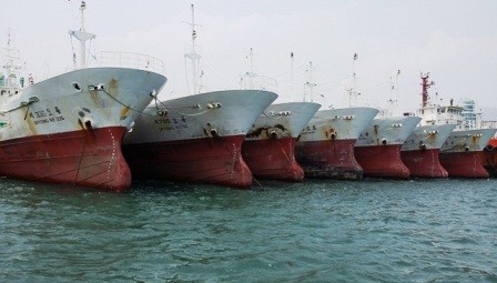 45 con tàu đầu tiên sẽ được đưa về Việt Nam vào tháng 8/2014