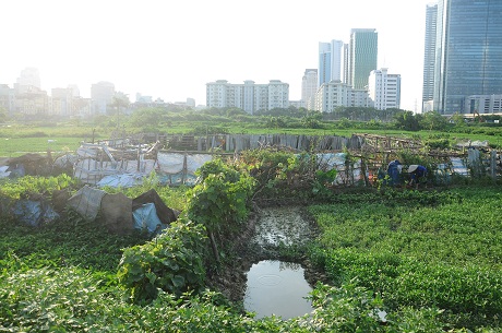 Hà Nội: Cận cảnh dự án cao ốc 100 tầng làm vườn rau
