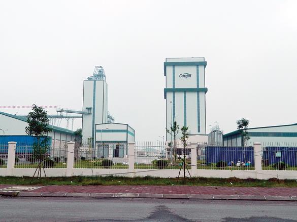 Cargill là nhà đầu tư Mỹ thành công khi đầu tư vào lĩnh vực sản xuất thức ăn chăn nuôi tại Việt Nam, với 8 nhà máy