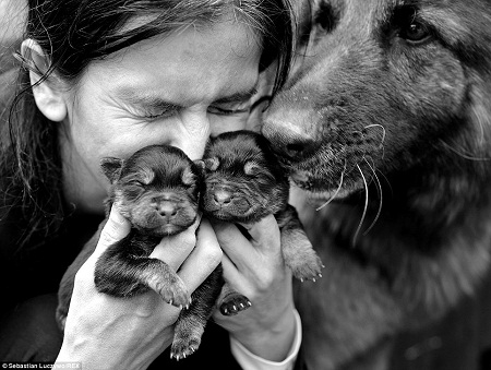 Cô bé Kaya hạnh phúc với sự ra đời của hai chú cún con.
