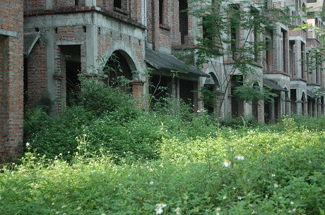 Từ hàng chục năm nay, khu biệt thự Phương Viên bị bỏ hoang, không một bóng người qua lại