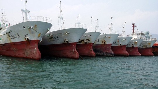 Những chiếc tàu đánh bắt thuỷ sản được Cty Đức Khải của ông Phạm Ngọc Lâm mua về từ Hàn Quốc.