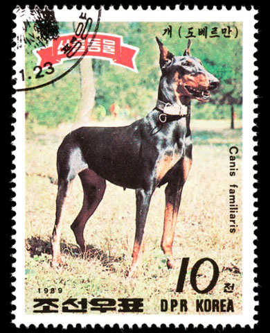 Một con tem mang hình động vật khác được phát hành năm 1989.