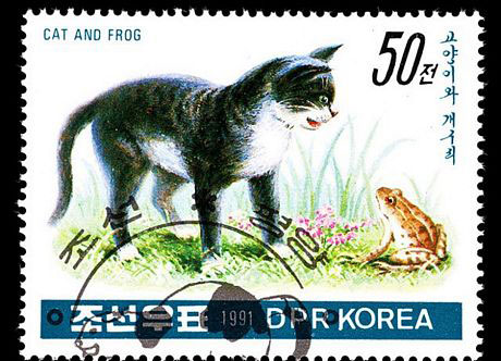 Con tem năm 1991 mô phỏng tình bạn giữa mèo và ếch.