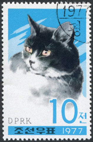 Một con mèo đen trên con tem năm 1977.