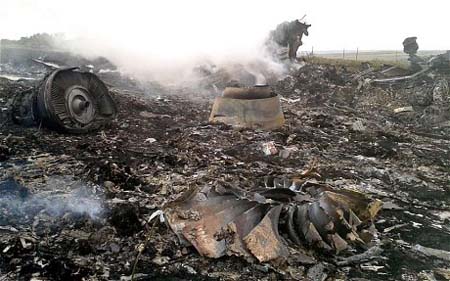 Một bức ảnh chụp hiện trường máy bay Malaysia bị rơi tại Ukraine